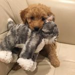 Daisy Johnson Whitaker - @daisyjohnsonwhitaker - Instagram