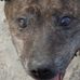 Daisy Whittingham - Facebook