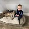 DaisyWhittingham - @daisywhittingham - TikTok