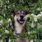 @daisy.wild_adventures - Instagram