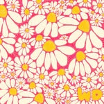 Wild Daisy Lettering - @wilddaisylettering - Instagram