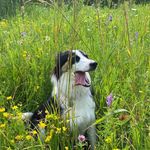 Daisy Wiley - @daisywileymurray - Instagram