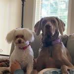 Wilhelmina+Daisy Mae - @willaanddaisy - Instagram