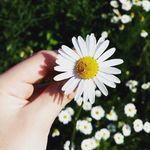 🌼♥ Daisy Willard ♥🌼 - @daisywillard25 - Instagram
