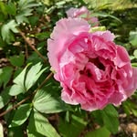 @_daisy_wind - Instagram