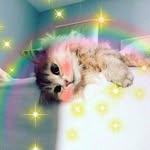 sasha - @_daisy_wind_ - Instagram