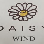 Selda Dincer - @daisywind_fashion - Instagram