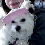 Daisy Wingate - Facebook