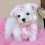 Daisy winn - @daisywinn5052 - Instagram