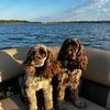 Daisy&Winny🐾 - @daisywinny7 - TikTok