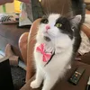 clouddaisywinston - @clouddaisywinston - TikTok