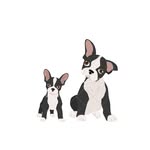 Daisy.🌼 & Winston 🪴 - @daisy_and_winston_the_bosties - Instagram