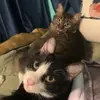 Daisy and Winston - @daisyandwinston18 - TikTok