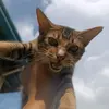 DaisyWinston19 - @daisywinston19 - TikTok