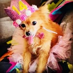 Daisy Mae Wise - @daisymaewise - Instagram