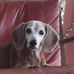 Daisy Witt - Facebook