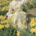 Daisy Wittrockiana - Facebook