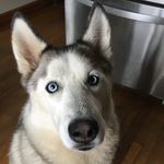 Daisy Wolfe - @daisy_eads_wolfe - Instagram