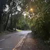 ~Daisy~ - @daisy.woods6 - TikTok