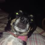 Daisy Jo Workman - @daisyworkman - Instagram