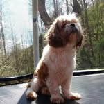 Daisy May Workman - @daisy01.workman - Instagram