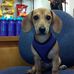 Daisy Workman - Facebook