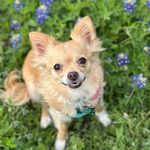 Daisy Williams Yarbrough - @smilingdaisy_wy - Instagram