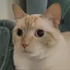 daisyye - @daisyye0 - TikTok