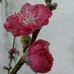 Daisy Yip - Facebook