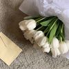 🌷Tulip🌷 - @daisy_yoon336 - TikTok