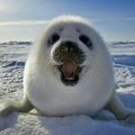 Daisy Yuen - @loktai123 - Instagram