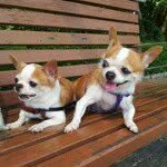Daisy Yuen - @daisyyuen - Instagram