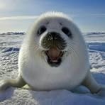 Daisy Yuen - Facebook