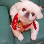 Daisy Yuen - @daisyyuen1119 - Instagram