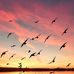 Oliver Dajay - Facebook