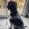 user7712078767710 - @dakotaavery - TikTok