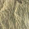 Enjoy🍍follow me plz - @dakotabackus1 - TikTok
