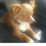 Dakota Bates - @bates2201 - Instagram