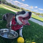 Dakota Bear - @dakotabear88 - Instagram