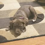 Dakota Bear - @_dakota.bear_ - Instagram
