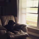 Dakota Bear - @_dakotabear_ - Instagram