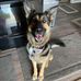 Dakota Bear - Facebook