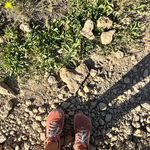 @dakotablooms - Instagram