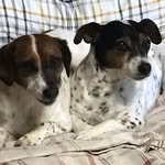 David Bott - @dakotabott - Instagram