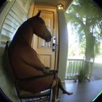Dakota Boyd - Facebook