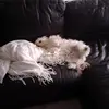 Dakota Boyd - @dakota.boyd - TikTok