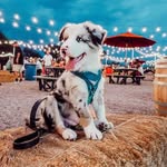 Dakota Klaus Bryan - @doctor_dakota - Instagram