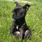 Dakota - @dakota_thebugg - Instagram