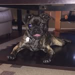 dakota_the_bugg - @dakota_the_bugg - Instagram