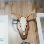 Dakota - @dakota_burcham - Instagram